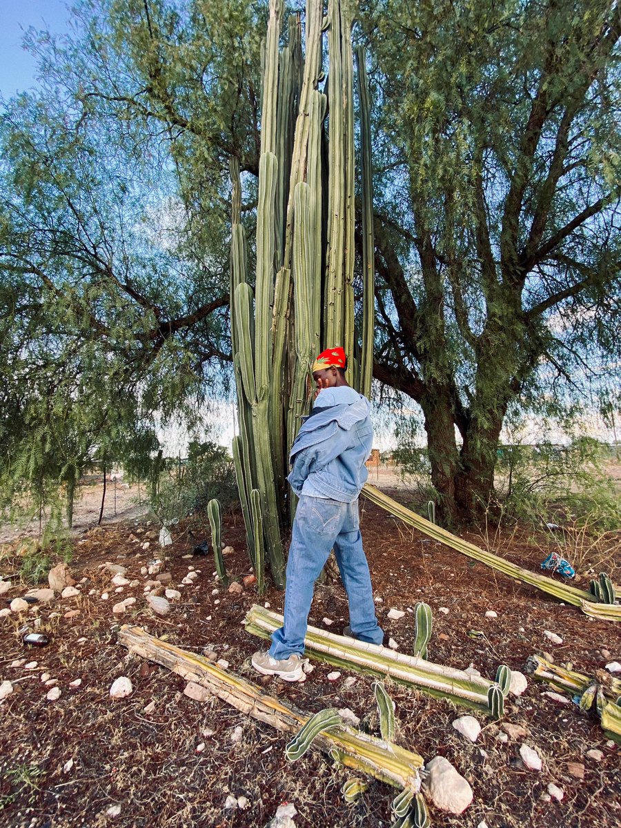 jayahrmusicprom's tweet image. 🌵20Million more 🎭