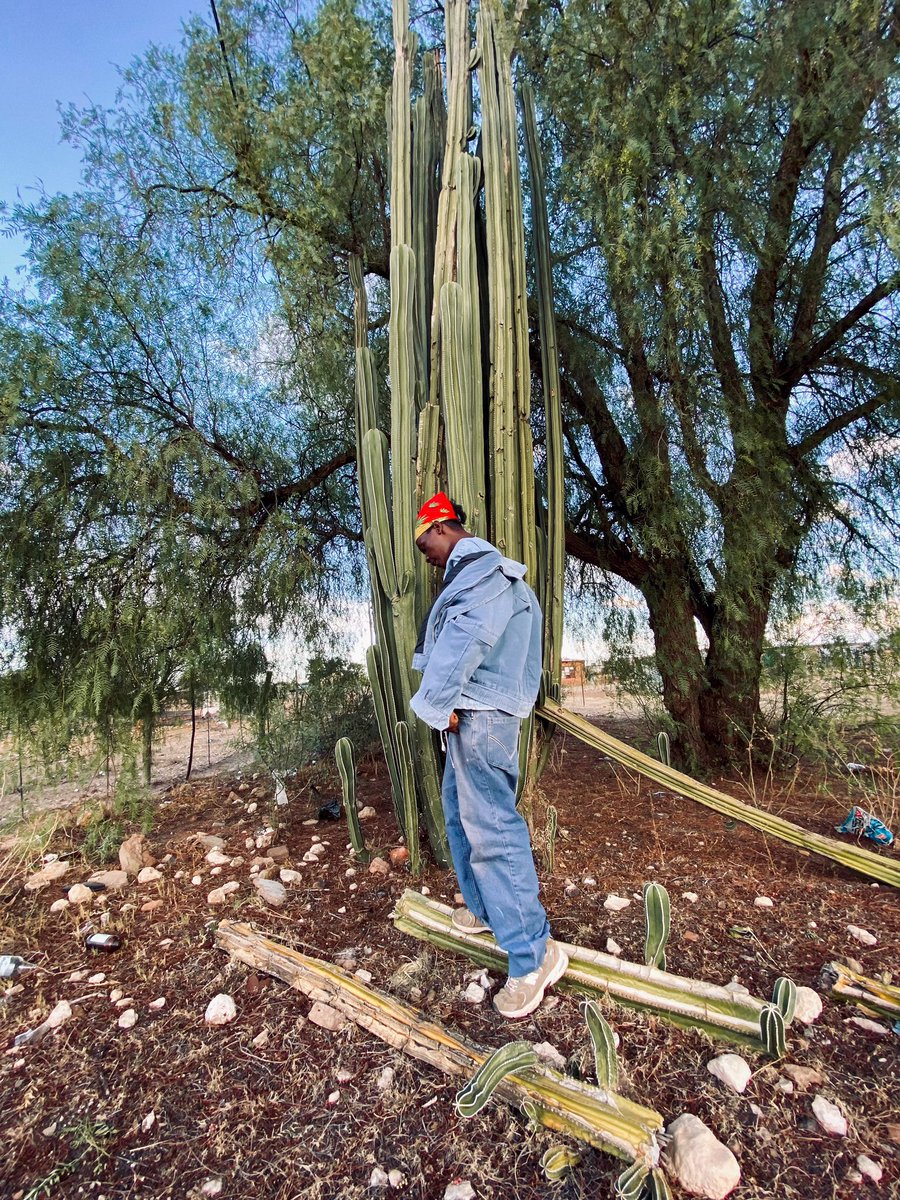 jayahrmusicprom's tweet image. 🌵20Million more 🎭