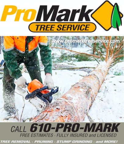 ProMark_Inc's tweet photo. ProMark Tree Service is always ready, no matter what kind of weather. Call the Pros @ ProMark 610.754.7400 https://t.co/EeBC7v7szi