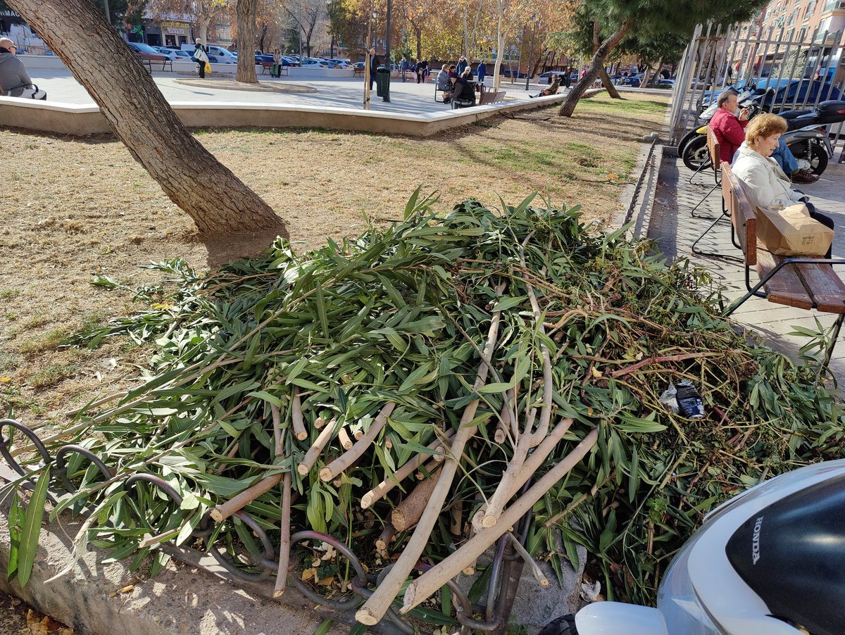 mrodriguezarn's tweet photo. @Lineamadrid, @sorigue_, por favor, ¿pueden retirar el material de obra sobrante y las vallas? Se está acumulando basura. También, podrían llevarse las ramas de la poda y las hojas secas. No es de recibo tener el barrio así durante tantos meses. Muchas gracias. https://t.co/5uDcOLGeE2