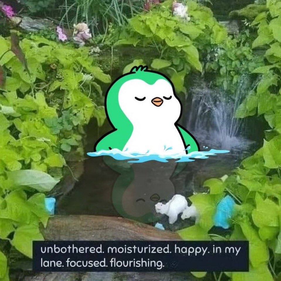 How it feels knowing January 2025 is only a few days away ✳️