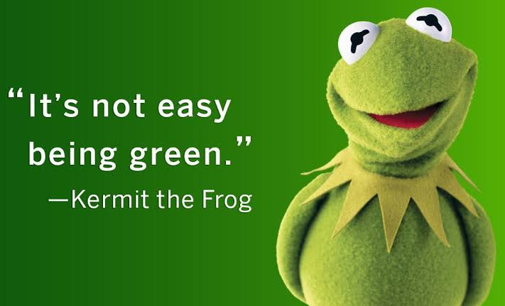 Kermit the Frog tweet media
