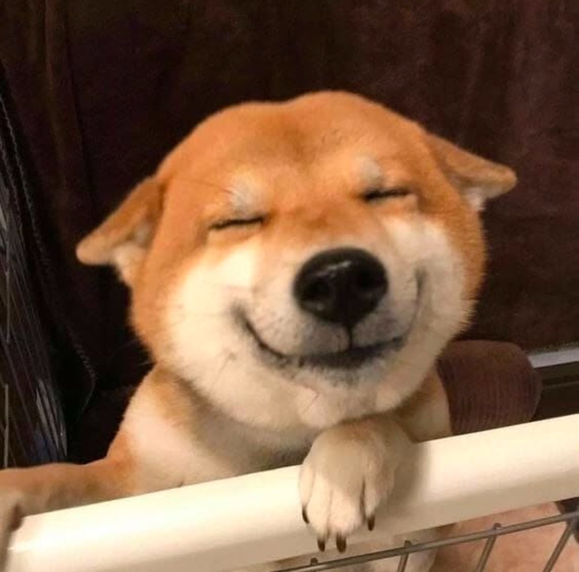 The LAST weekend of 2024

Use it to BONK as much as possible❗️❗️❗️