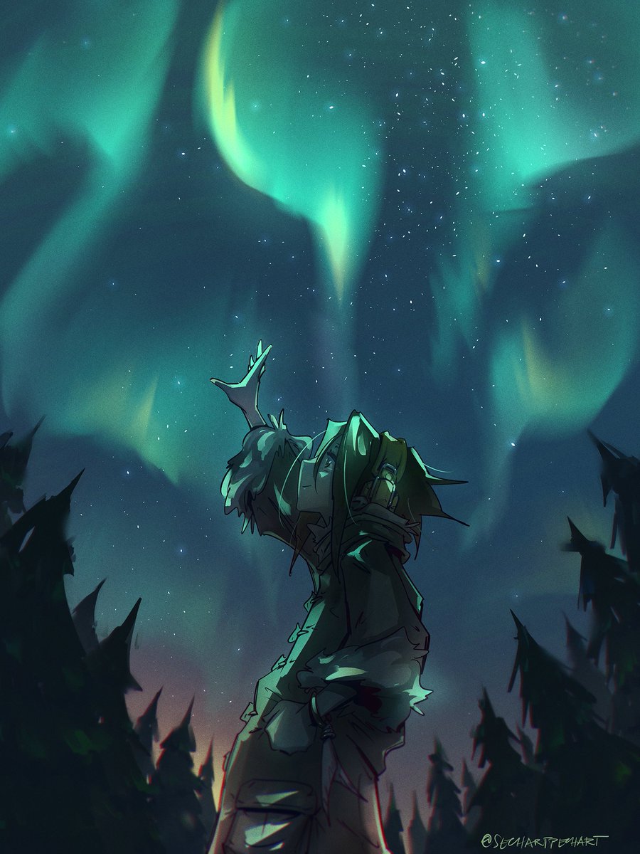 reach for you, northern lights! 🌌☄️

#SHAMANKING