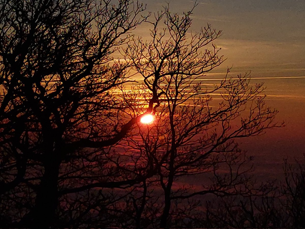 travelthommi's tweet photo. Unterwegs an der #Bergstrasse über den Wolken auf dem #Melibokus. Hier gab es einen schönen #Sonnenuntergang. Im Tal nichts als Nebel.

2025 posts only in Bluesky
https://t.co/XWTm7su0ZU https://t.co/r700TGUwbK