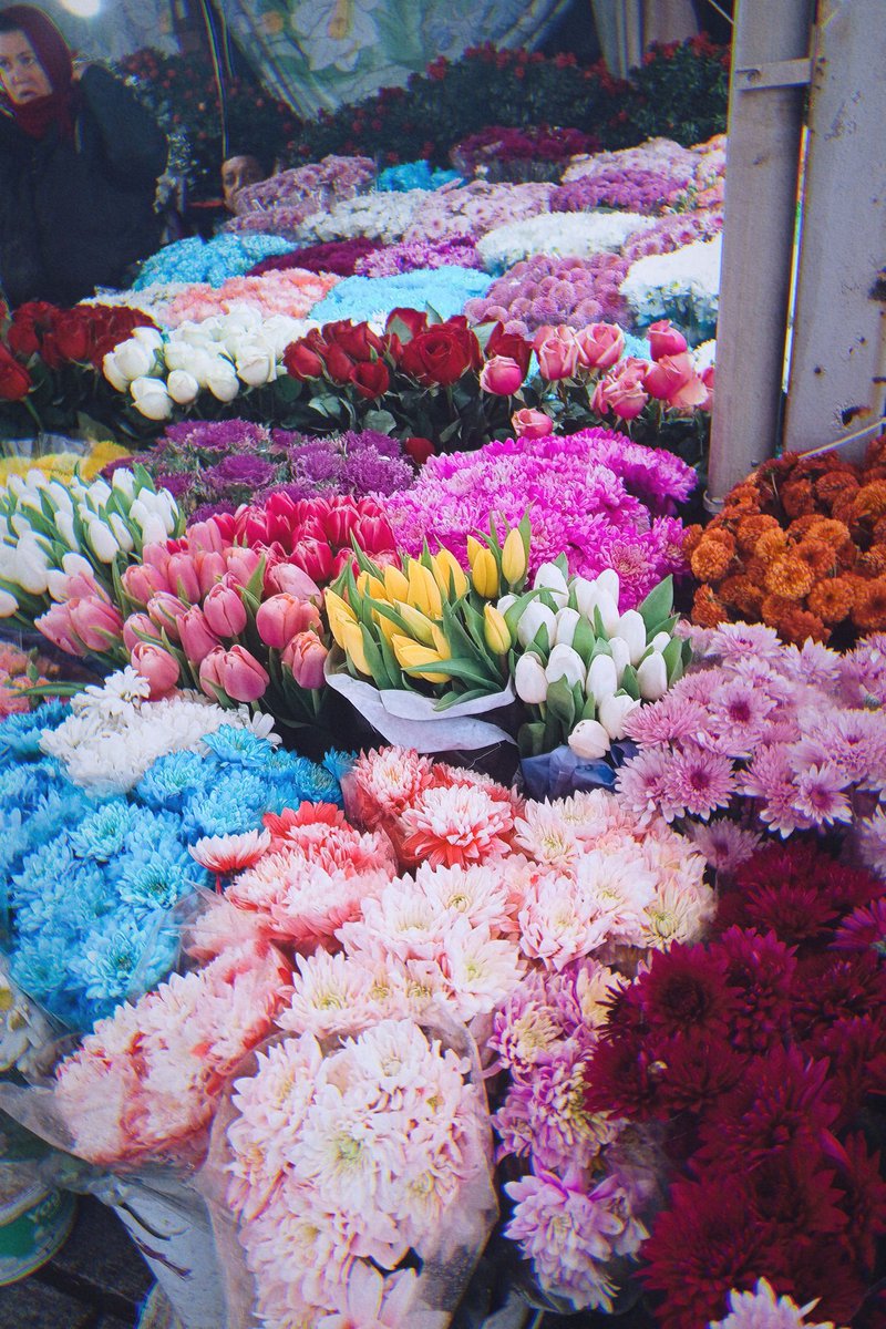 🌷|Bizim görevimiz hayata şefkat ve hikmetle mukâbele etmek. Yani çevremize empati ve akıllıca konuşarak yaklaşmak.
#kadrajımdan