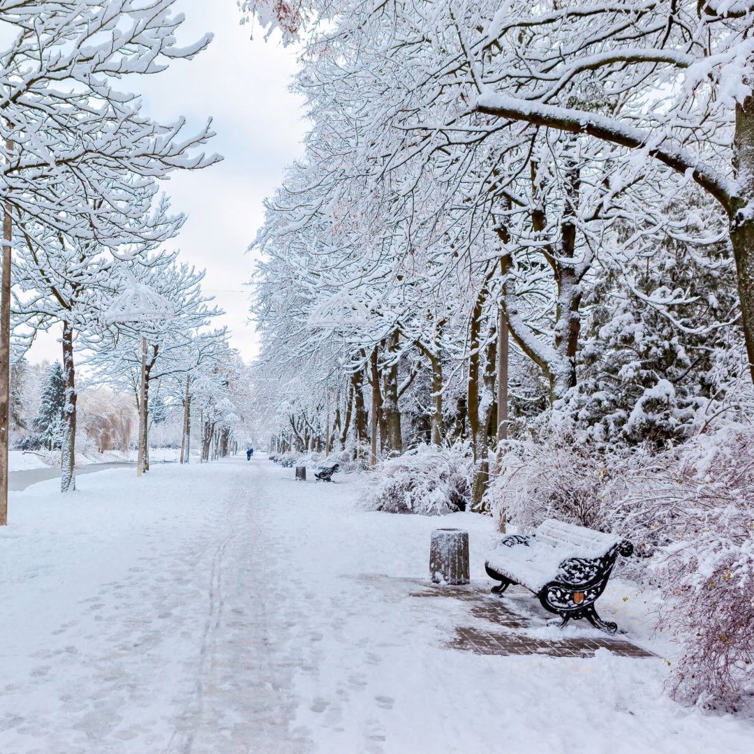 thepolandnews_'s tweet photo. ❄️ | Według długoterminowej prognozy pogody zima zawita do Polski tuż po powitaniu Nowego Roku. W całym kraju należy spodziewać się znacznego ochłodzenia, a także intensywnych opadów śniegu. https://t.co/UM8ZOZ74xj