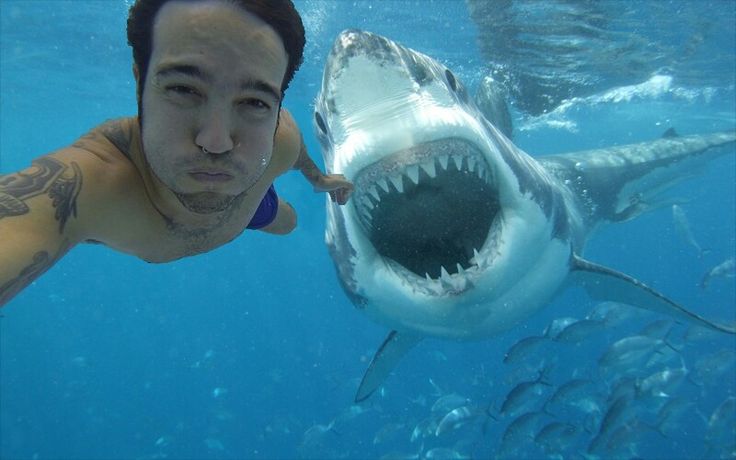 💪🎭..Rai ji..💪🎭 tweet media