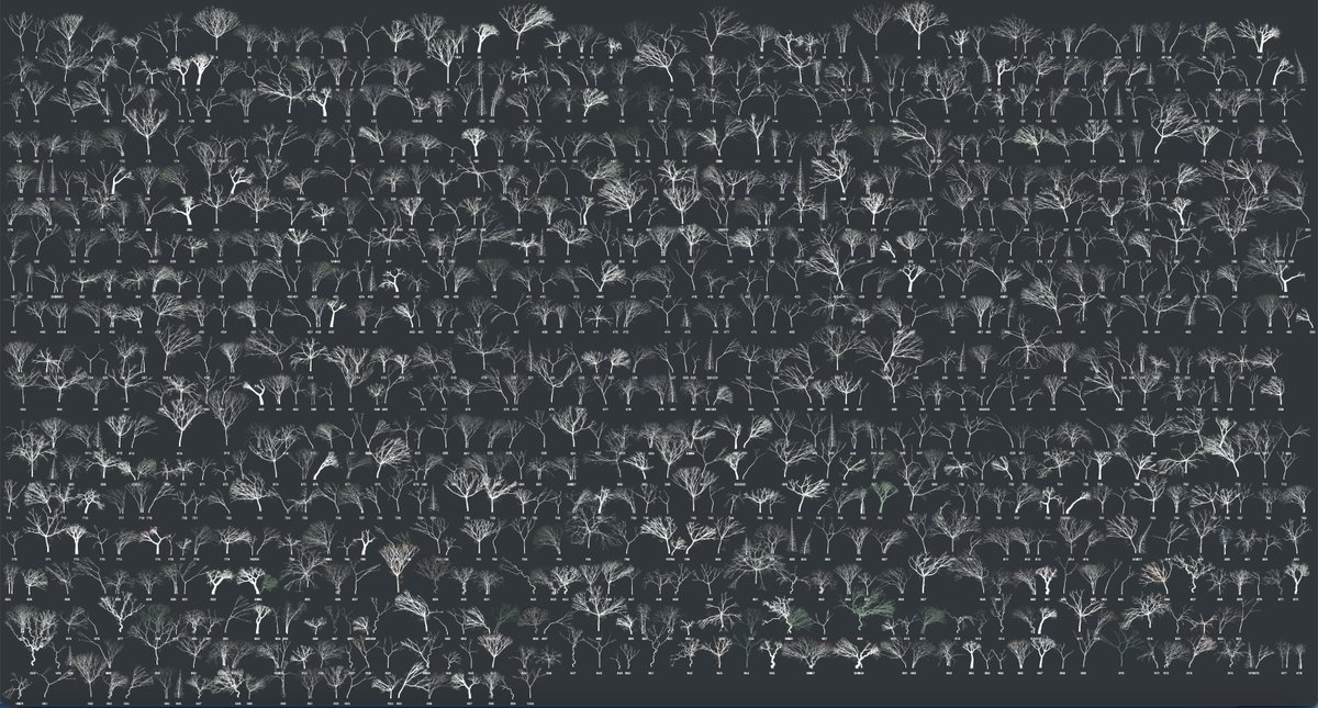 gm ! 
Mark my word.
These are all the trees from the Aux Arbres collections. 

Based on the number of RETWEET it gets by Dec. 31, midnight, I'll use that tree id to make a large-scale, embroidered tree (that's about 80-100 pieces), to be exhibited in a solo show to come. 
🌳🪡📈