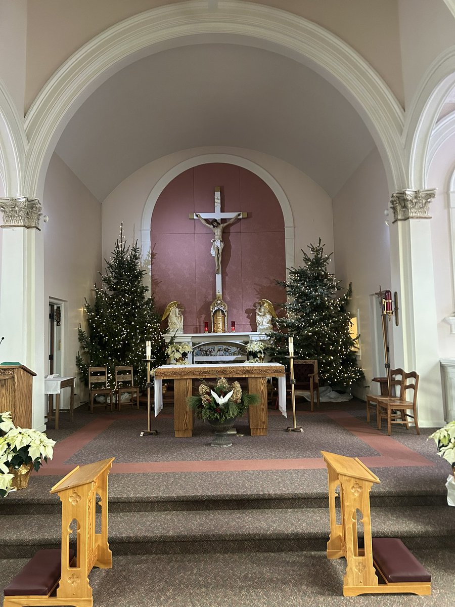 FaithDiscussion's tweet image. The beauty of #Catholicism during Christmas…

• St. Mary’s Parish in Westphalia
• St. Joseph’s Parish in Pewamo
• Most Holy Trinity in Fowler
