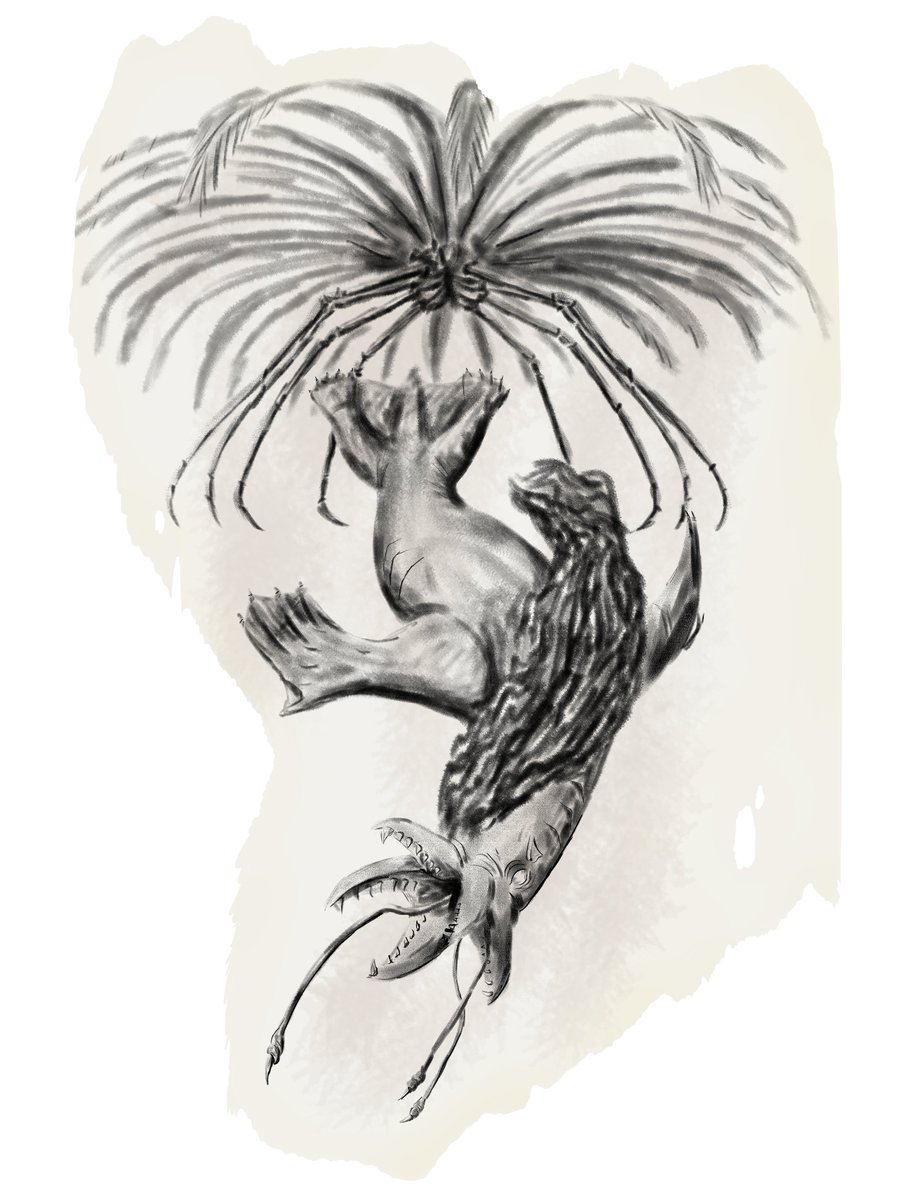 The Hidden Elephant tweet media