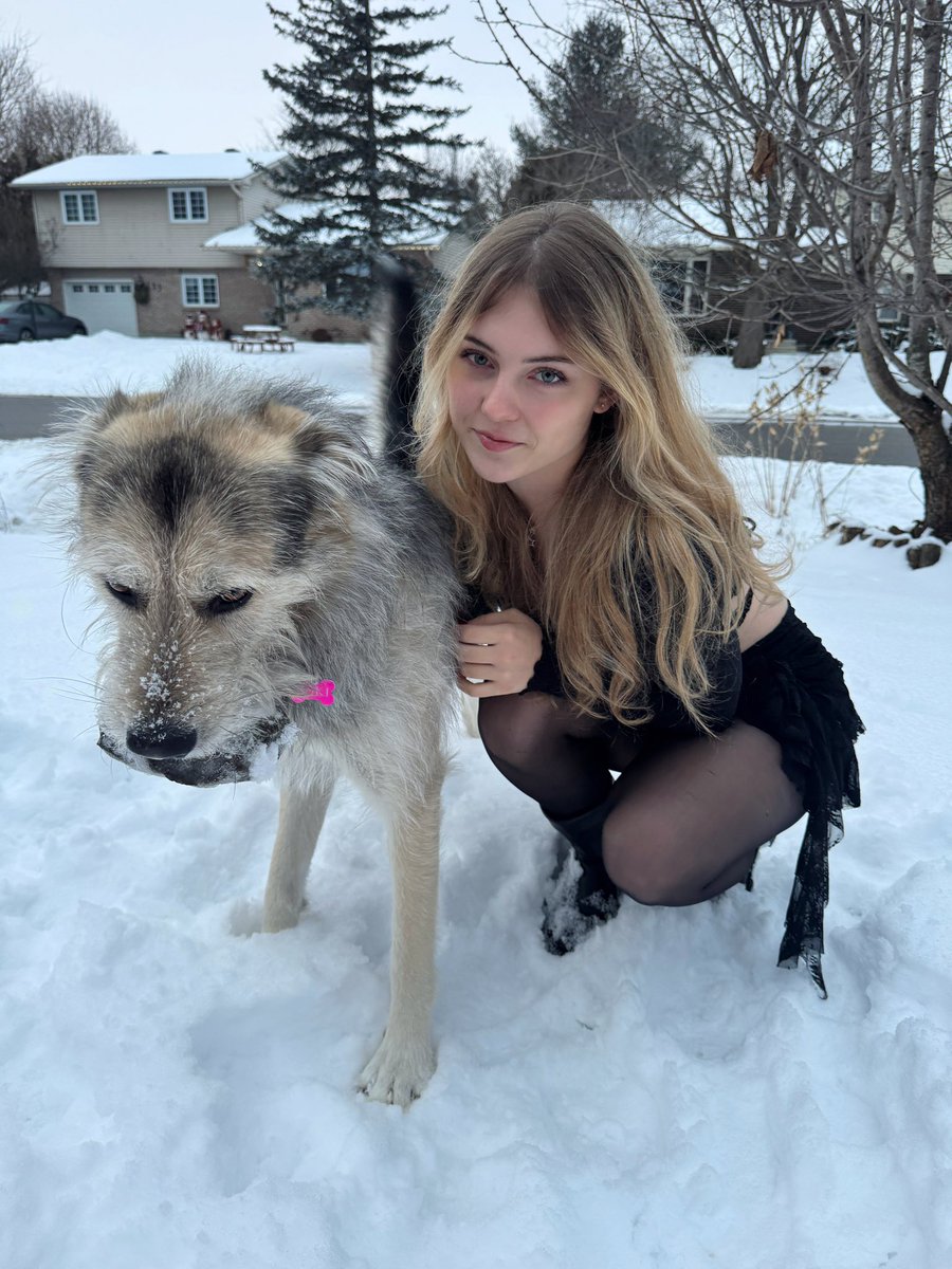 Nefffss's tweet image. What the dog doin? (eating a rock)