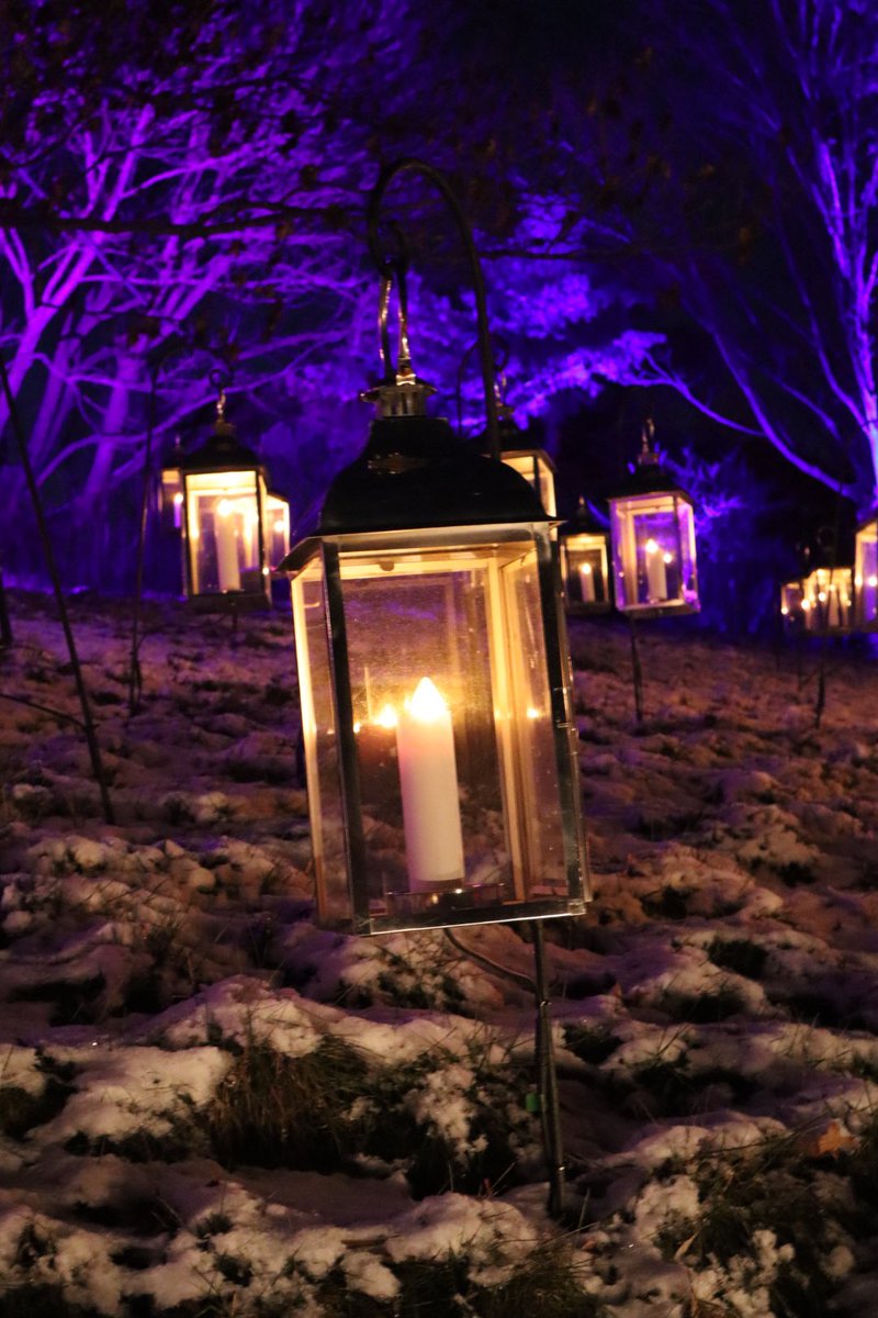 Yesaccount465's tweet photo. The sea of lanterns and lights https://t.co/qCuiUM0Yyv