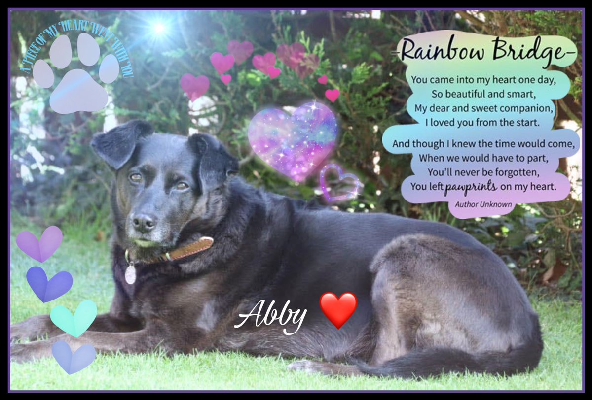 One year ago 💔💔💔29th December 2023 🌈🌈🌈