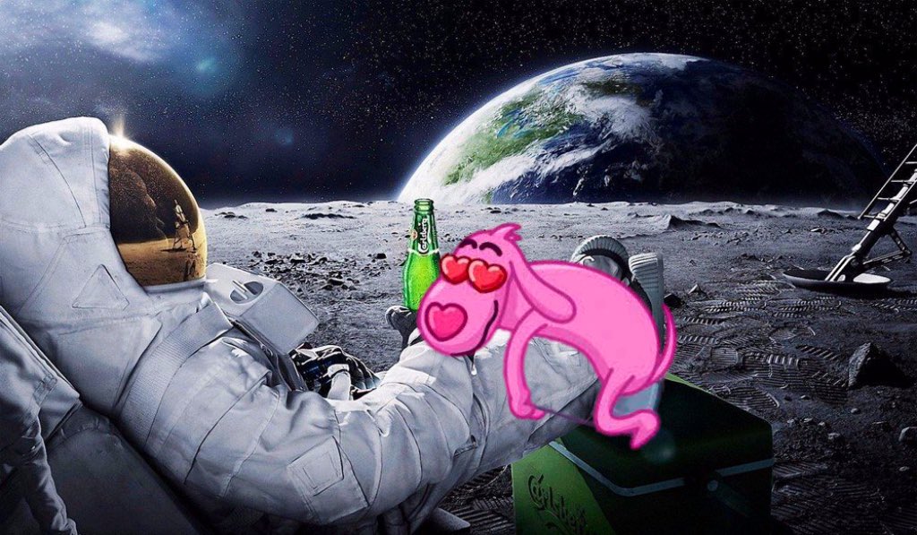 RoseRaised's tweet photo. @PinkdogCTO We running it back to where he’s supposed to be!
$Pinkdog
#Pinkdog https://t.co/rUZvOEAHee