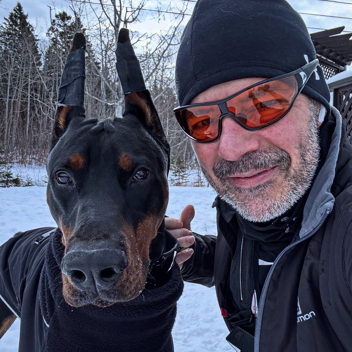 LPLandry's tweet photo. Easy+slow #trailrunning ❄️ 6km avec Duke 🐶

#runningwithdogs #doberman #dobermansquebec @SalomonRunning @UnderArmourCA https://t.co/jkSiIhF5Mk
