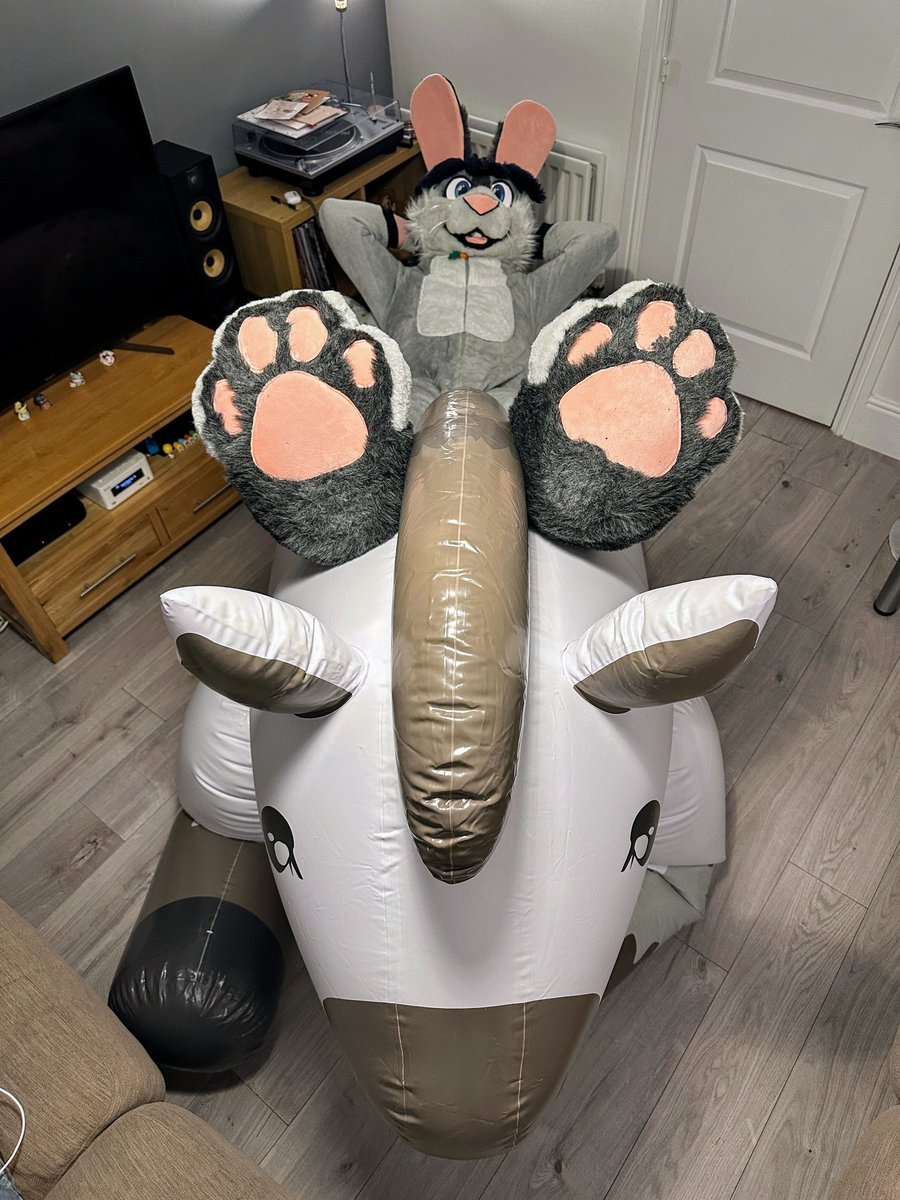 Who wants to go on a horse ride with me, can provide cuddles!
#squeakysaturday #inflatable #fursuit