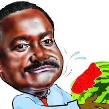 Jengana1Maina's tweet photo. Instead of facilitating progress, @skmusyoka chooses to spread misinformation, blaming the government for IEBC delays that he contributes to. This tactic only sows division and distrust among Kenyans. #StopTheDeception #StopAbductingUsKE #RIPRiggyG https://t.co/2QcDdsCQk0