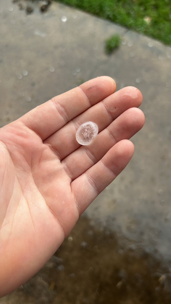 MaeTaylorPhoto's tweet photo. @KBTXRusty it’s hailing and they’re getting bigger! https://t.co/6OZy72kiRJ