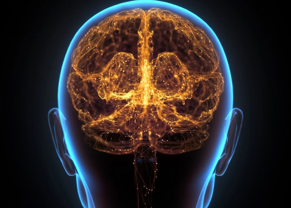 despertar's tweet photo. ¿Te sientes ansioso, deprimido o estresado? 

Estos 9 hábitos podrían estar dañando tu cerebro. 

Descubre qué está afectando tu salud mental y cómo solucionarlo 🧵 https://t.co/YBGi5hBg6m