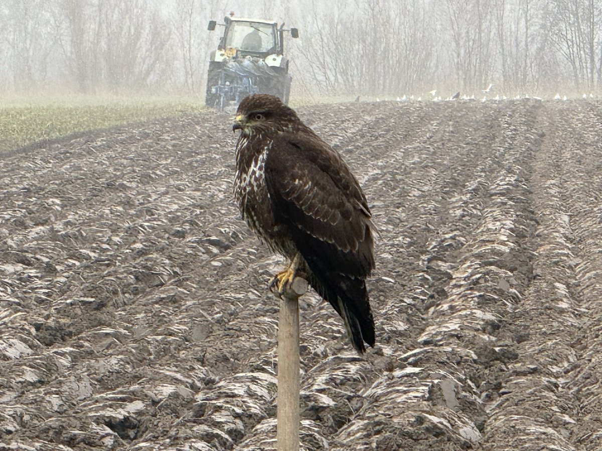 Druilerige grijze dag.