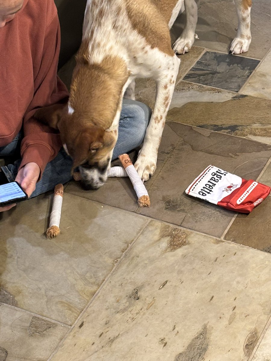 DebitAndCreditJ's tweet photo. Mom isn’t a fan of the present I got the dog. Merry Christmas Kid. #MakeCigsCoolAgain https://t.co/wtMzAqYoVo
