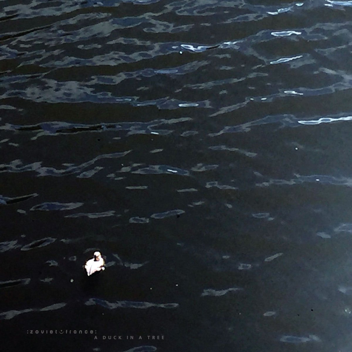 ***Please note*** If you're expecting A Duck in a Tree, the zoviet*france: radio broadcast, to start in five minutes on Resonance FM, it won't be – Resonance is broadcasting a special schedule during its winter break. A Duck in Tree returns to Resonance on 18 January.