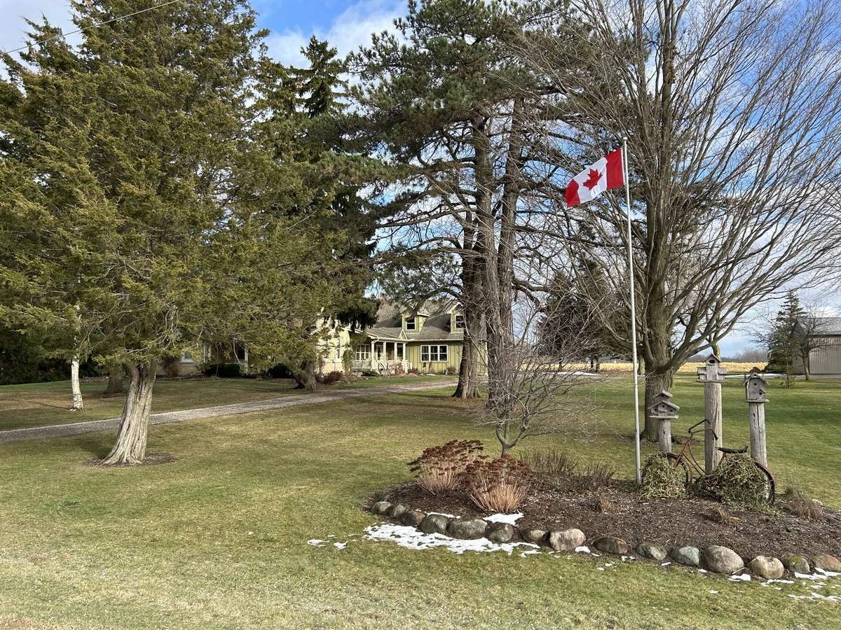 Felt like a good day to put up a bright new 🇨🇦flag to get ready for a great 2025 for Canada. Hopefully a new federal govt soon that focuses on some of our key strengths- namely resources and ag.