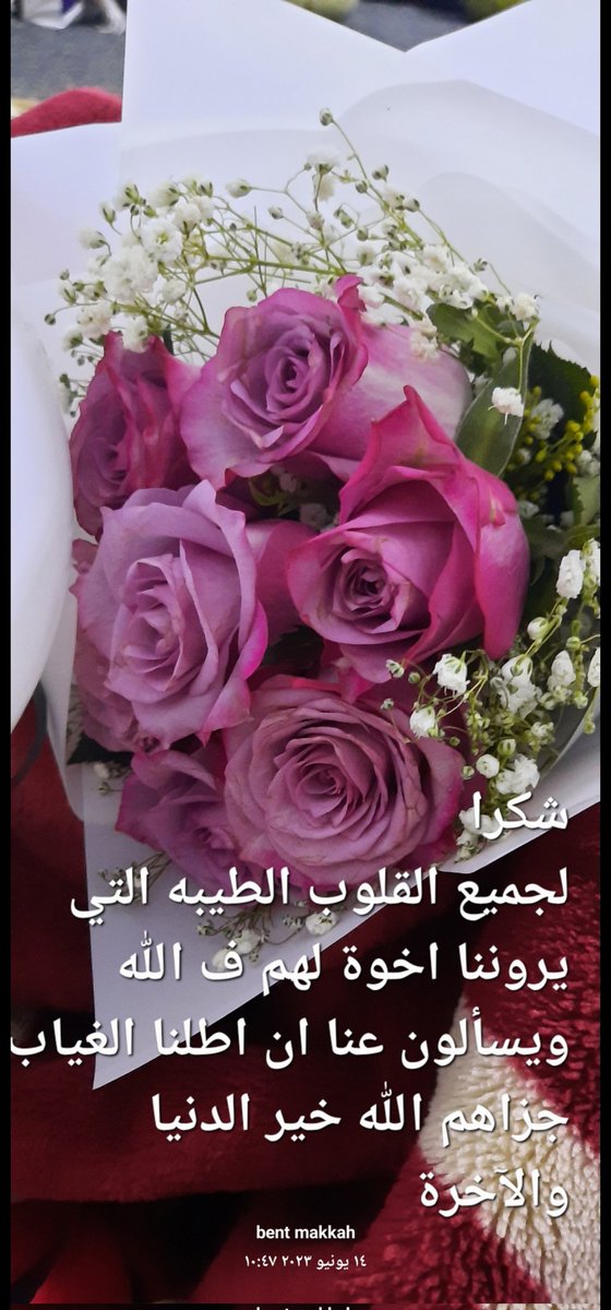 ضي العالم tweet media