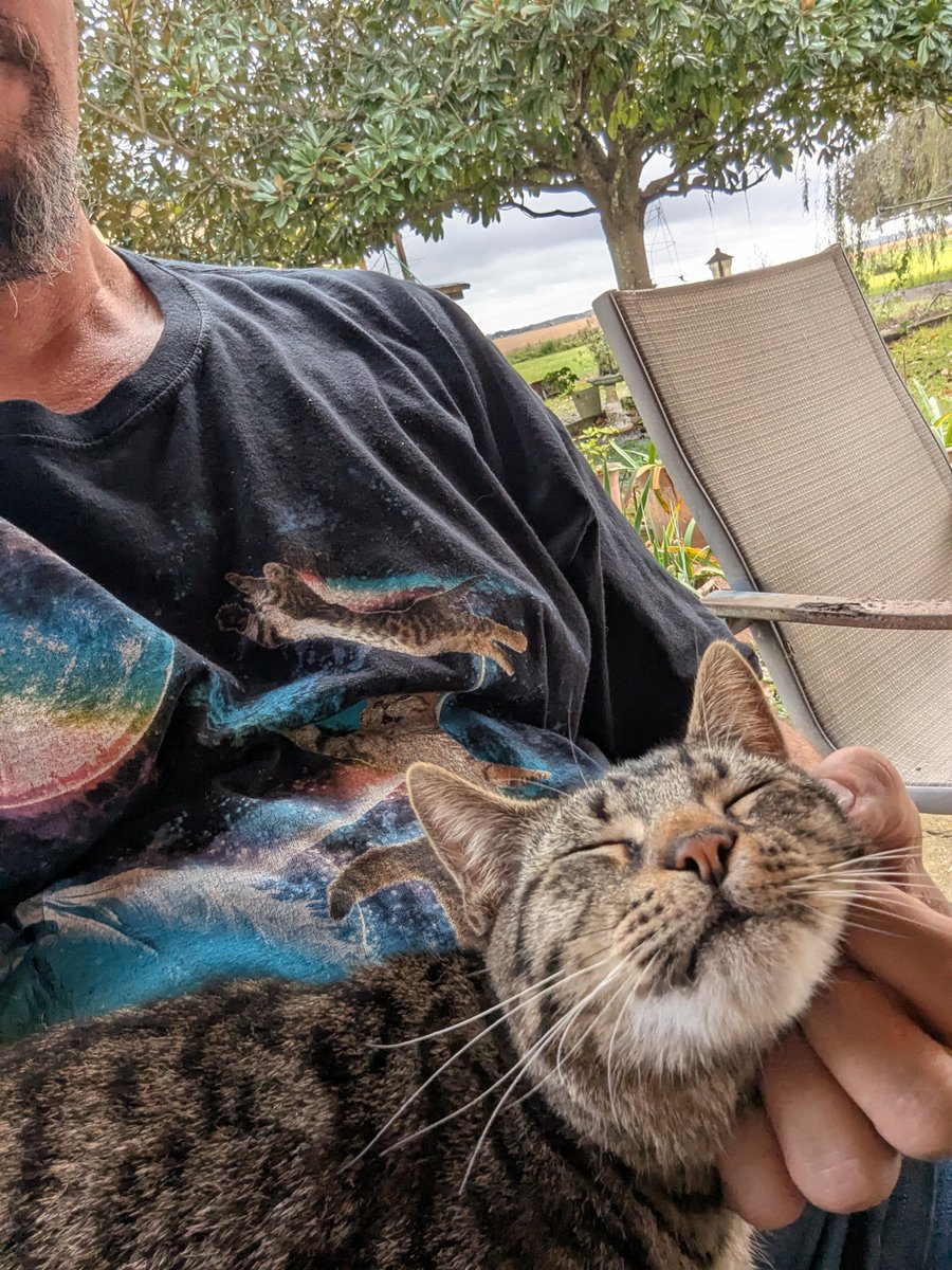 johnbearross's tweet image. Neighborhood cat hunted me down and demanded more lovin'.

#kitteh