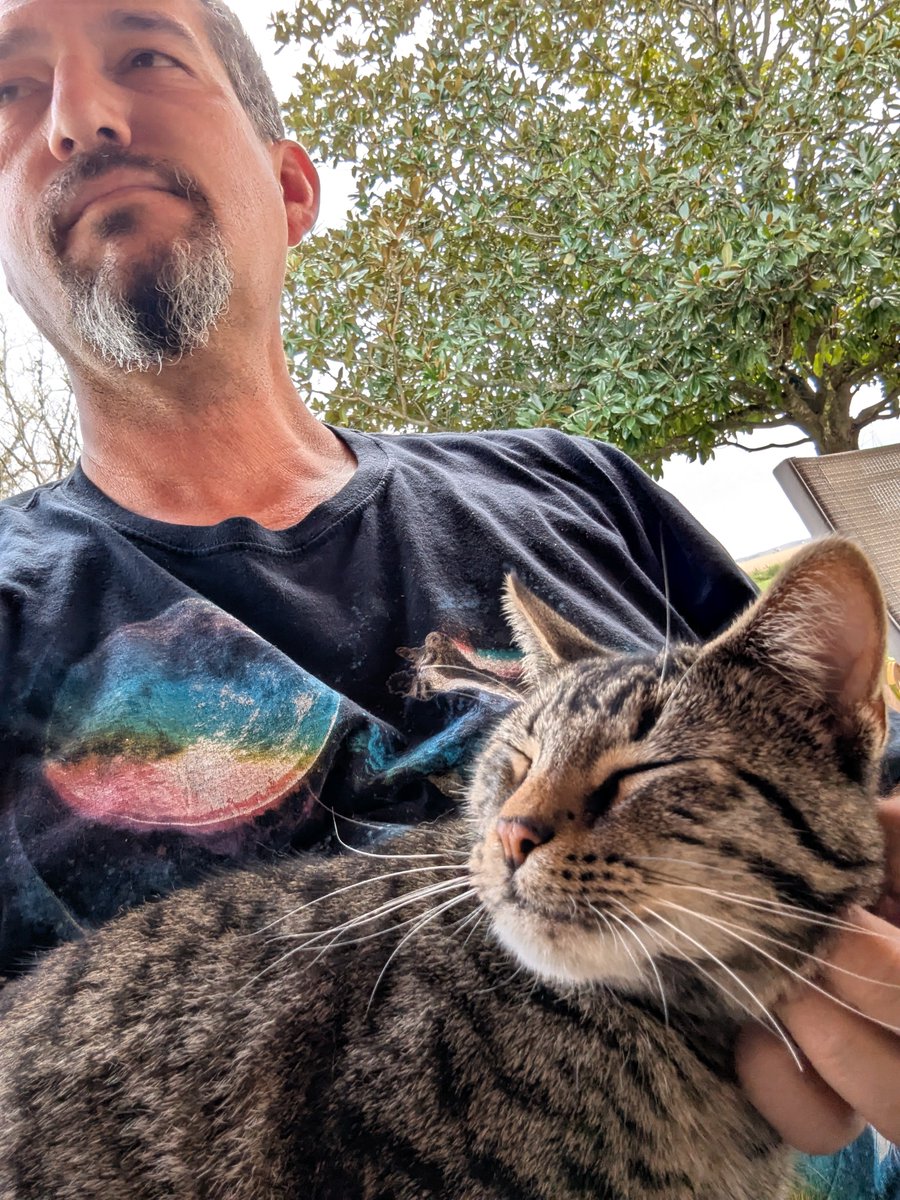 johnbearross's tweet image. Neighborhood cat hunted me down and demanded more lovin'.

#kitteh