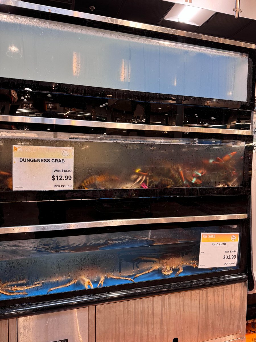 AnnaOnlyL's tweet image. Empty fridge? Time to go to the supermarket to restock!#supermarket #shopping