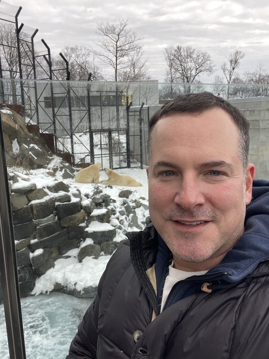 mtlbrad's tweet image. Just out with a couple of bears