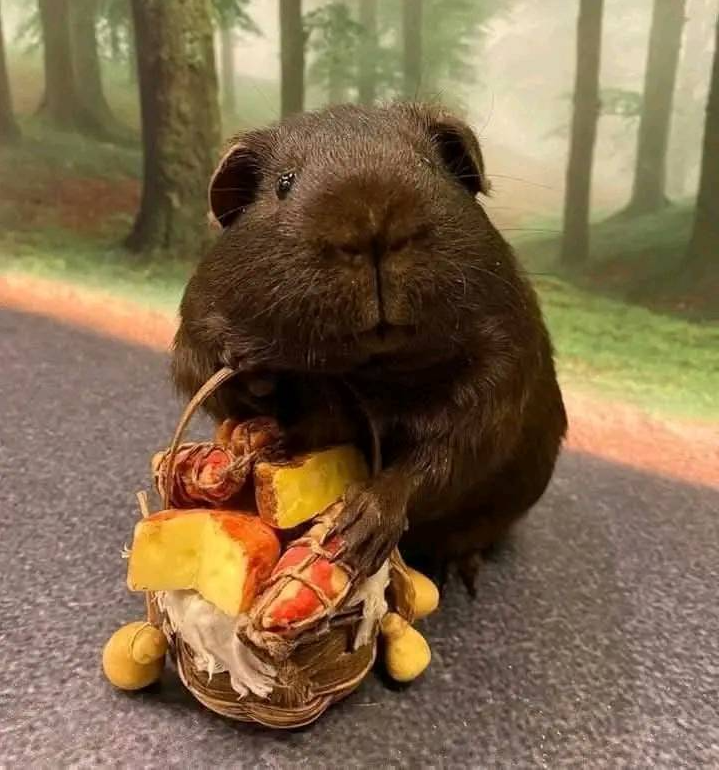 Please don't move around without giving him some love!