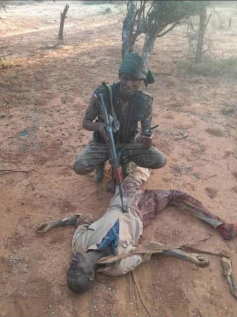What happened in  Dawaley must rise to a war crime .
<a href="/IidAxmed7/">Eid Ahmed</a> <a href="/AbiyAhmedAli/">Abiy Ahmed Ali 🇪🇹</a> <a href="/SomalilandChro1/">Somaliland Chronicle</a>
