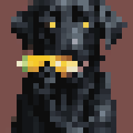 DogBitCorn tweet picture