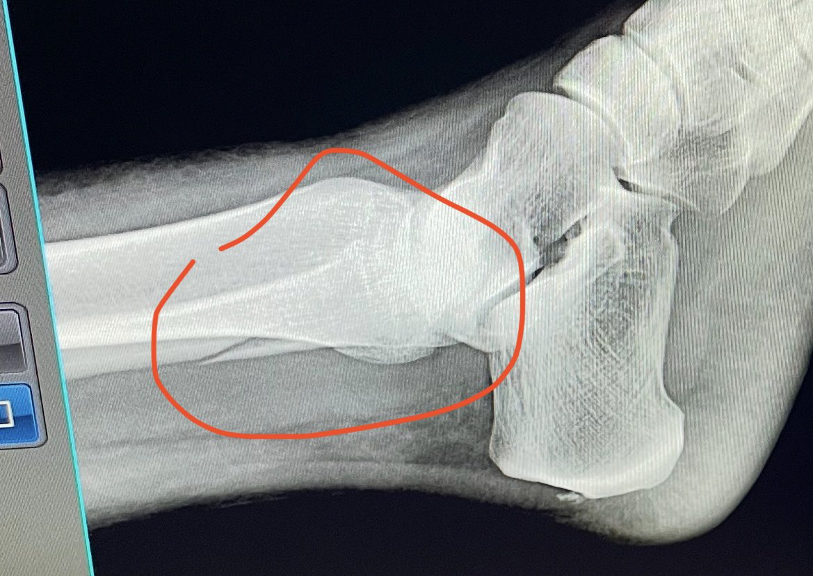 Howard Luks MD tweet media