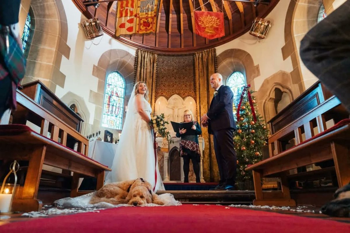 BryanDando1's tweet image. Nearly a week already, the best early Christmas Present