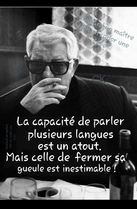 text alternatif