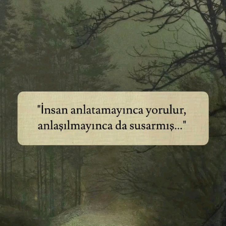 birteraphy's tweet photo. İnsan anlatamayınca yorulur, anlaşılmayınca da susarmış. https://t.co/EuWLThvx8U