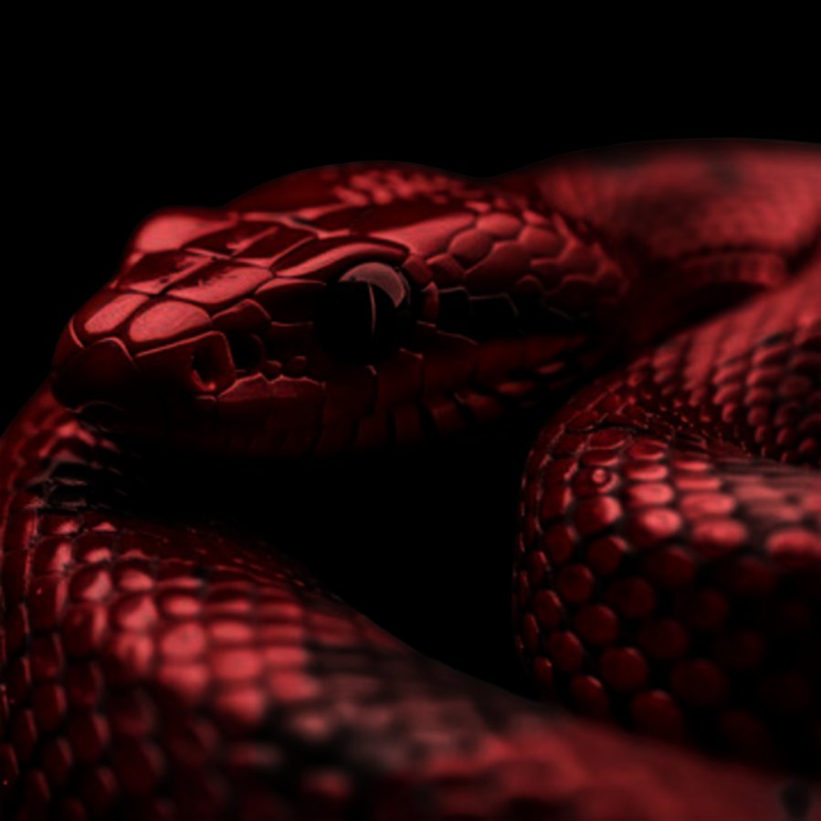 R3DVlPER's tweet photo. 𝙊𝙗𝙚𝙧𝙮𝙣 𝘸𝘢𝘴 𝘦𝘷𝘦𝘳 𝘵𝘩𝘦 𝙫𝙞𝙥𝙚𝙧. 𝘿𝙚𝙖𝙙𝙡𝙮, 𝙙𝙖𝙣𝙜𝙚𝙧𝙤𝙪𝙨, 𝙪𝙣𝙥𝙧𝙚𝙙𝙞𝙘𝙩𝙖𝙗𝙡𝙚. 𝙉𝙤 𝘮𝘢𝘯 𝘥𝘢𝘳𝘦𝘥 𝙩𝙧𝙚𝙖𝙙 𝘰𝘯 𝙝𝙞𝙢. https://t.co/GqUcd6htVk