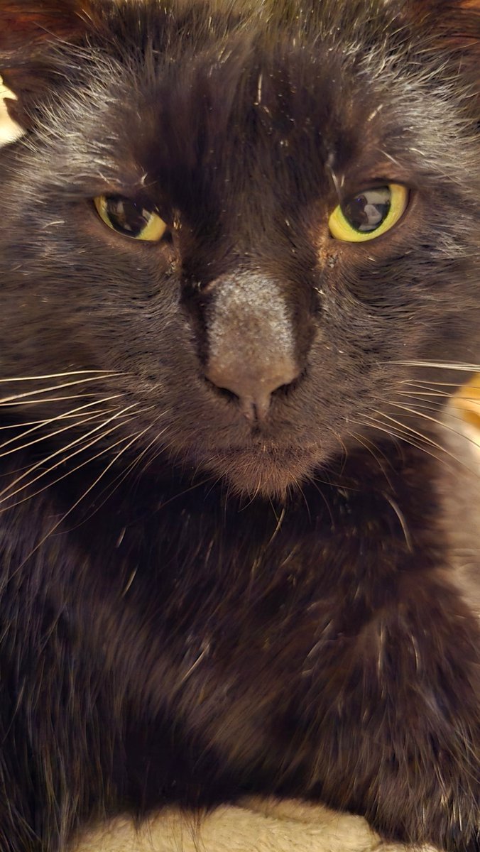 Megmac1987's tweet image. Look how handsome my son is.