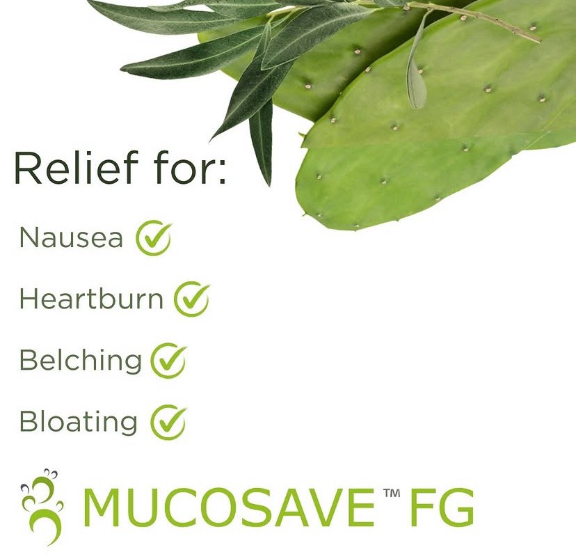 ScienceBasedIng's tweet image. MUCOSAVE™FG: Where nature creates relief. Protect your digestive system with prickly pear and olive leaves, and say goodbye to discomfort. #GERDRelief #DigestiveComfort #MUCOSAVE #Sciencebasedingredients