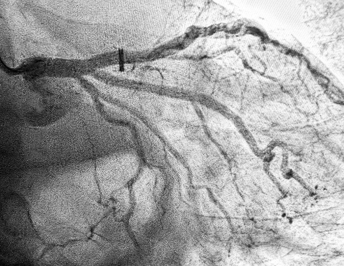 Alex Truesdell tweet media