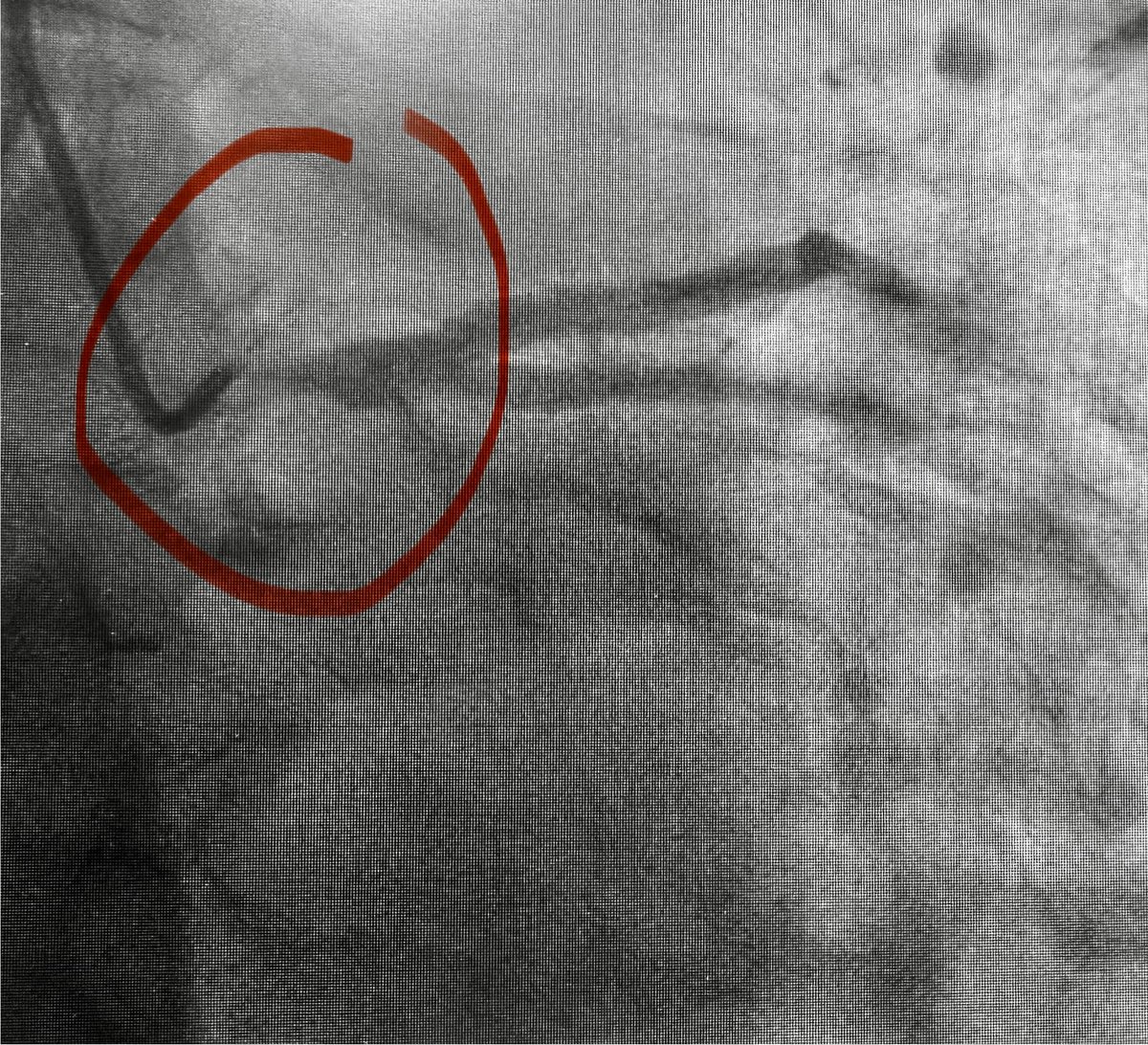 Alex Truesdell tweet media