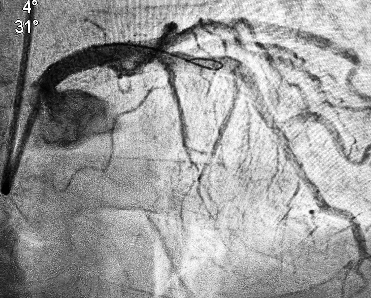 Alex Truesdell tweet media