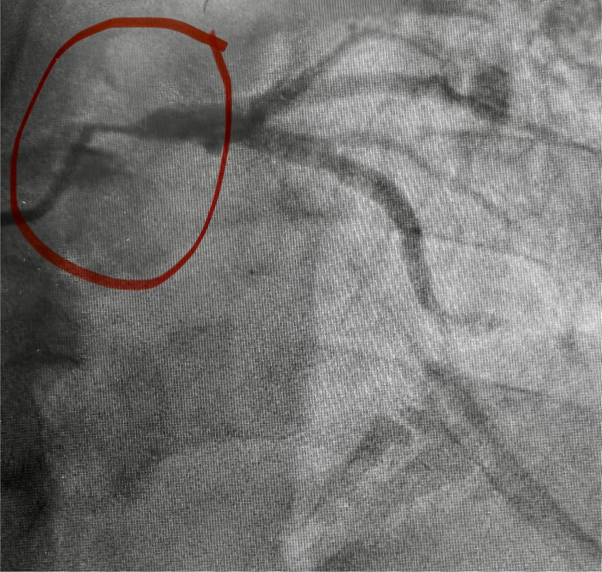 Alex Truesdell tweet media