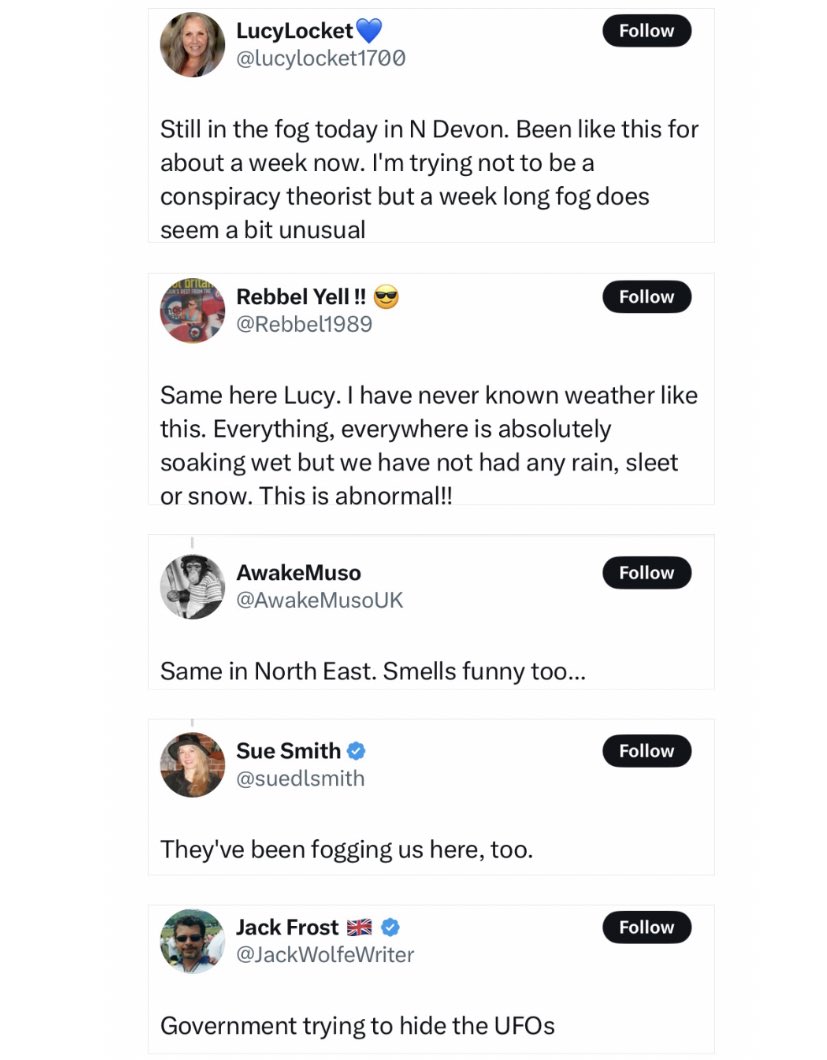 Ben Smith tweet media