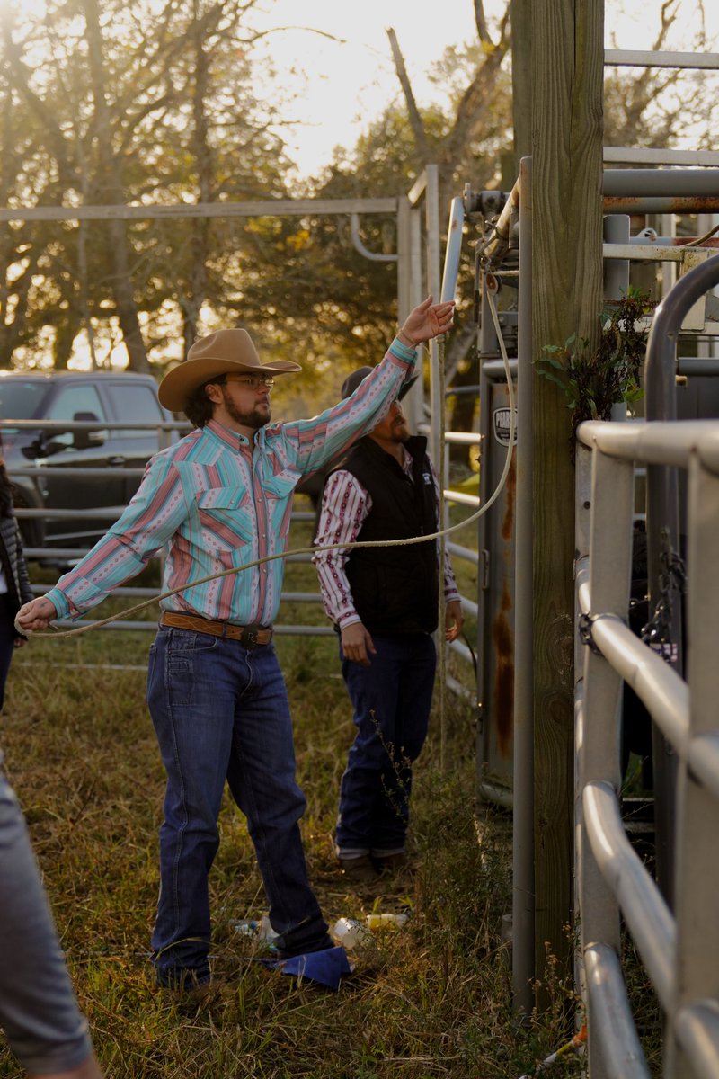 Rowdy Hand Co. tweet media