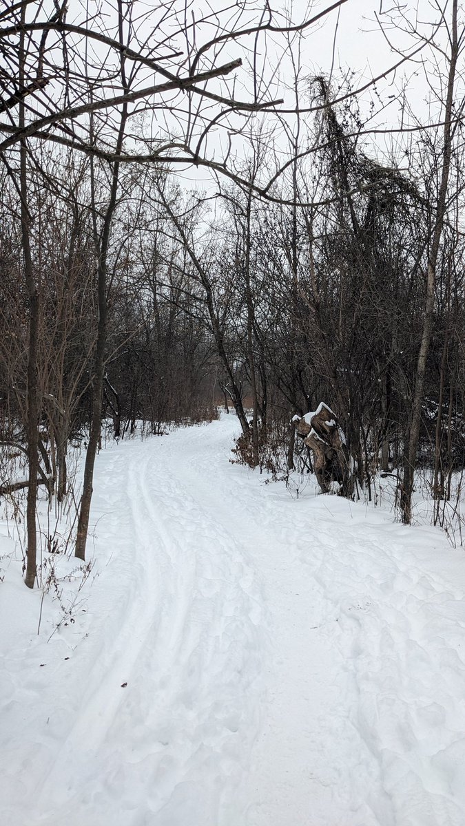 Karyn Curtis🇨🇦🐎 tweet media